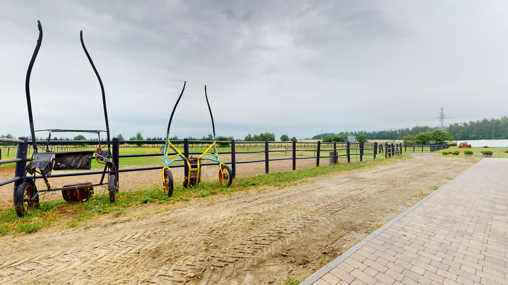 Dom na sprzedaż Dobropole 985 m2 | Arka Nieruchomości