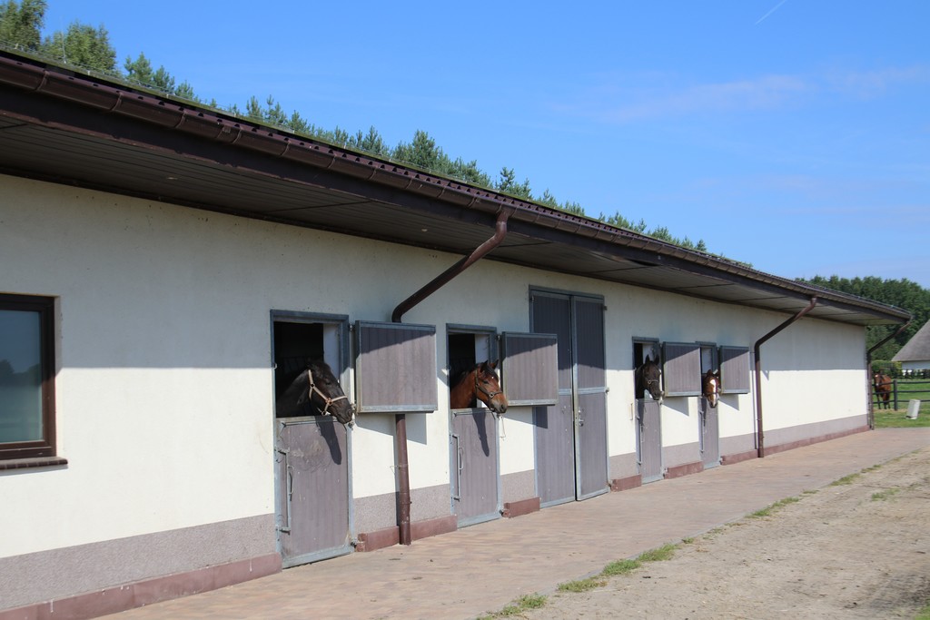 Dom na sprzedaż Dobropole 985 m2 | Arka Nieruchomości