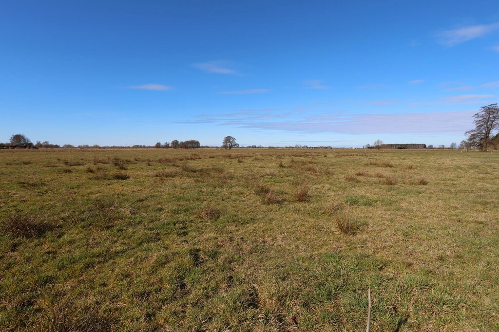 Działka na sprzedaż Lubczyna 4 181 m2 | Arka Nieruchomości