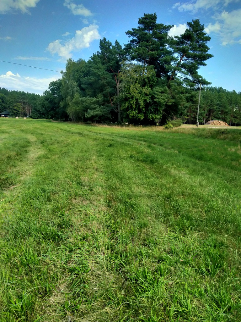 Działka na sprzedaż Tanowo 3 362 m2 | Arka Nieruchomości
