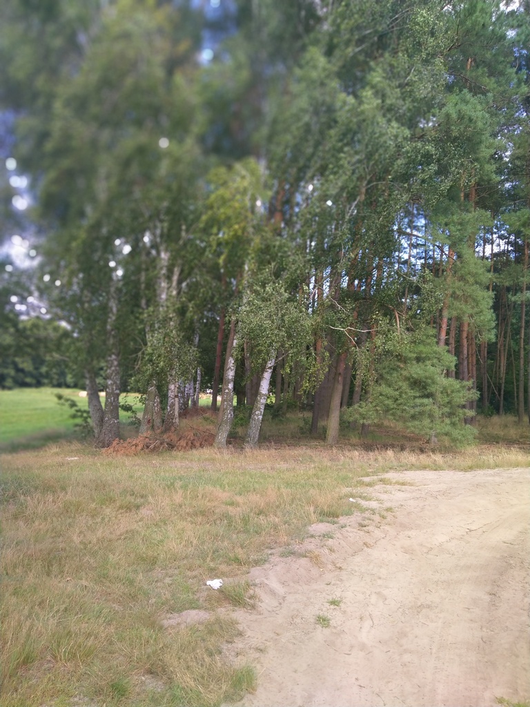 Działka na sprzedaż Tanowo 3 362 m2 | Arka Nieruchomości