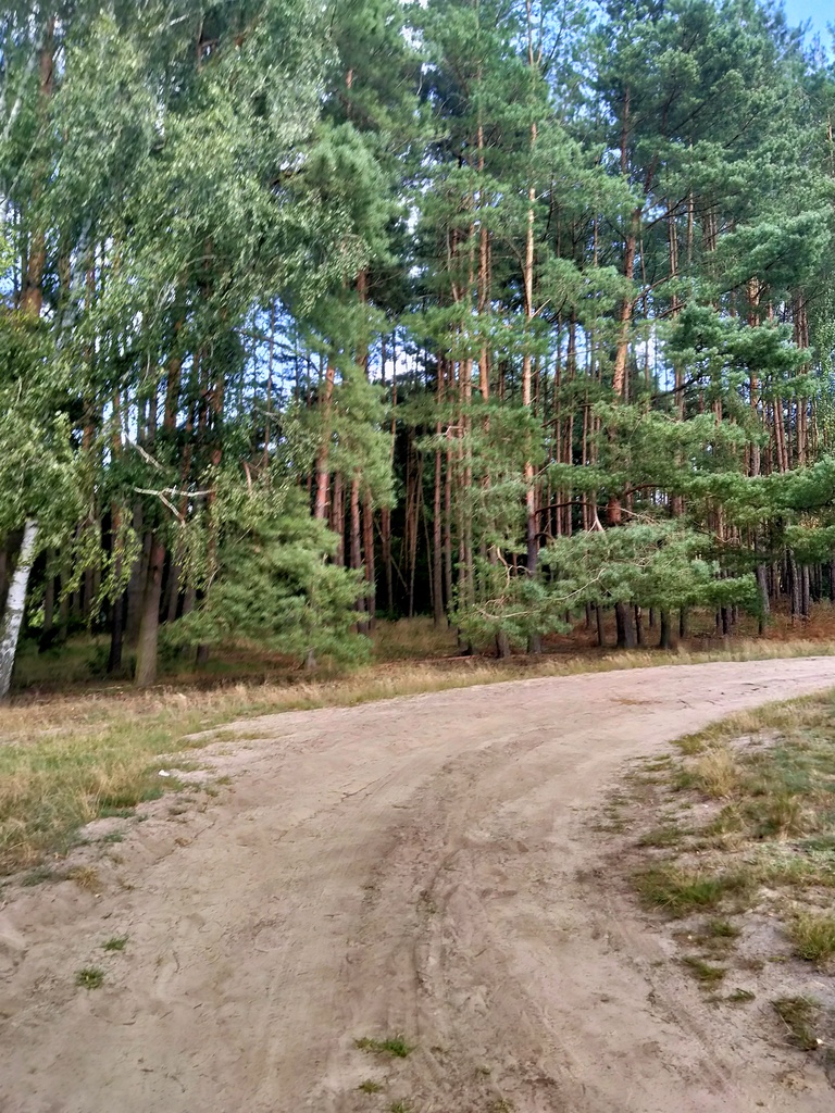 Działka na sprzedaż Tanowo 3 362 m2 | Arka Nieruchomości