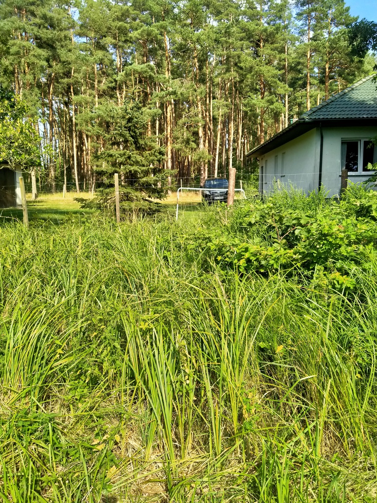 Działka na sprzedaż Tanowo 3 362 m2 | Arka Nieruchomości