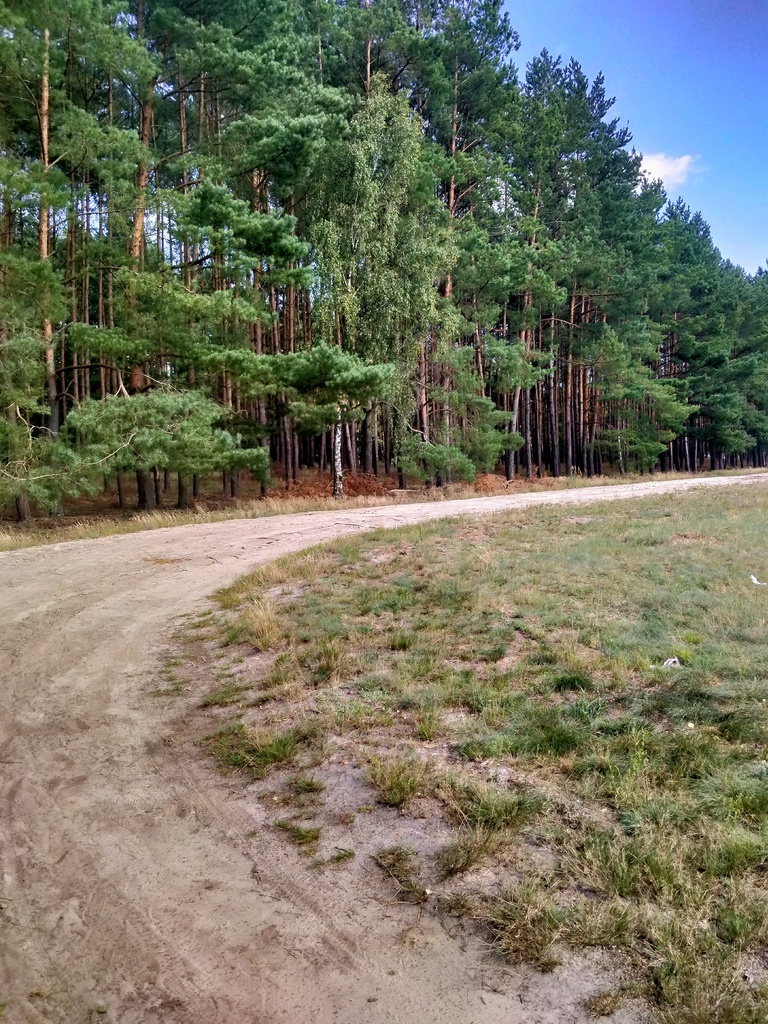 Działka na sprzedaż Tanowo 3 144 m2 | Arka Nieruchomości