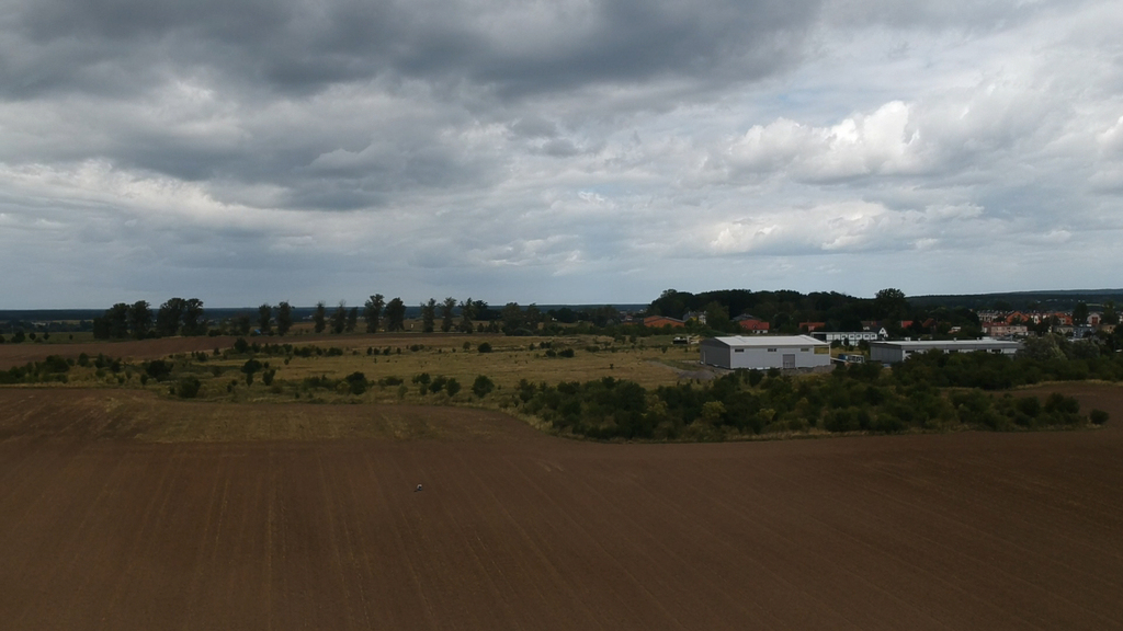 Działka na sprzedaż Skarbimierzyce 17 672 m2 | Arka Nieruchomości
