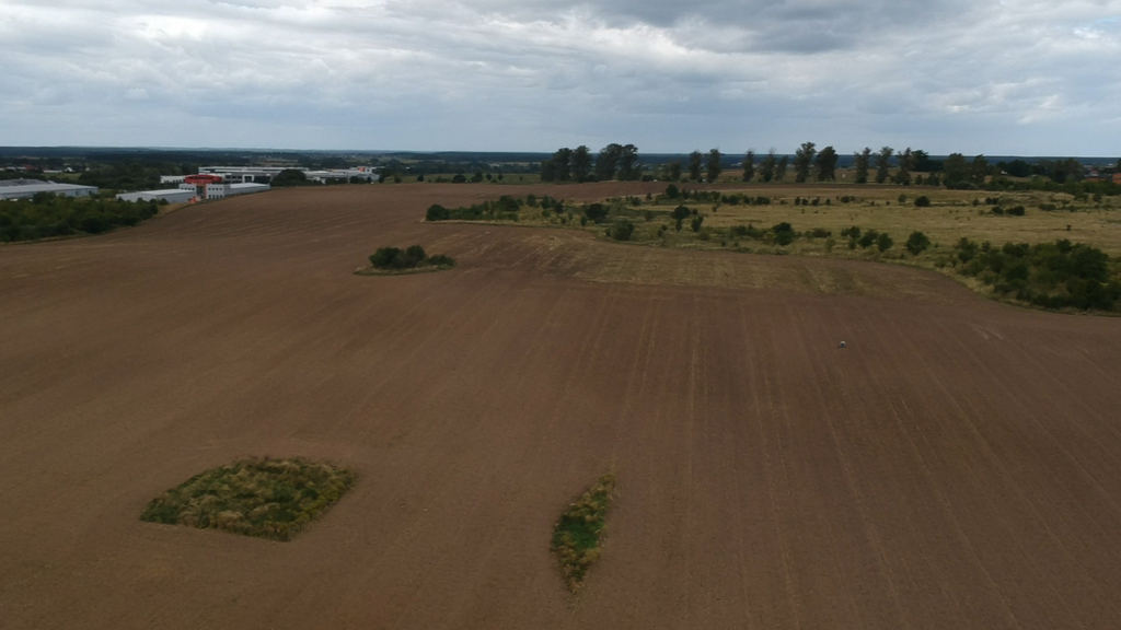 Działka na sprzedaż Skarbimierzyce 17 672 m2 | Arka Nieruchomości