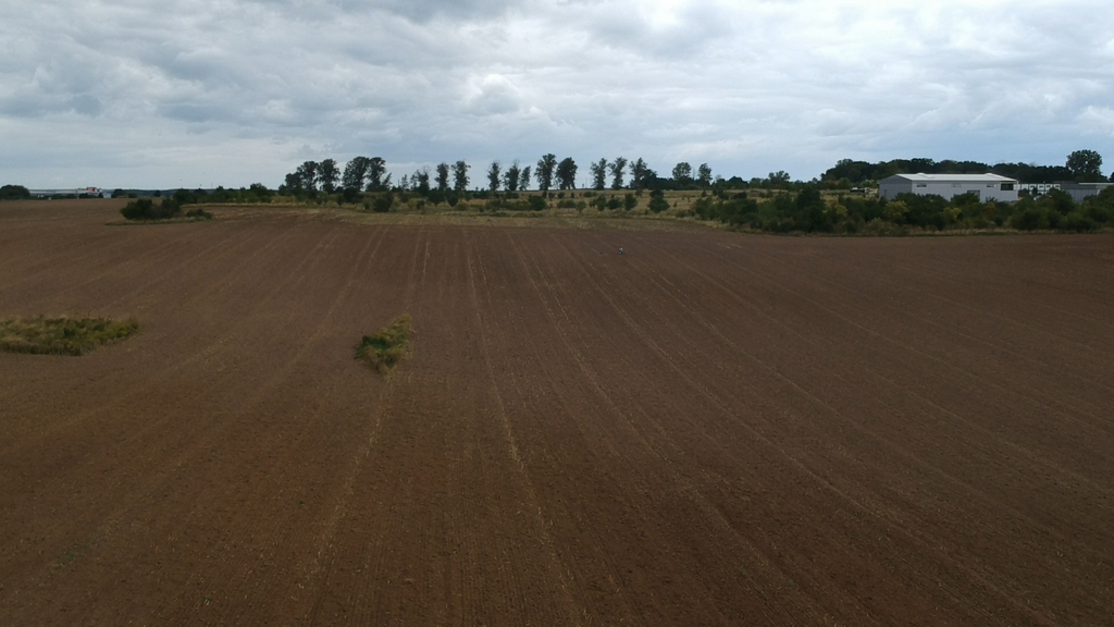 Działka na sprzedaż Skarbimierzyce 17 672 m2 | Arka Nieruchomości