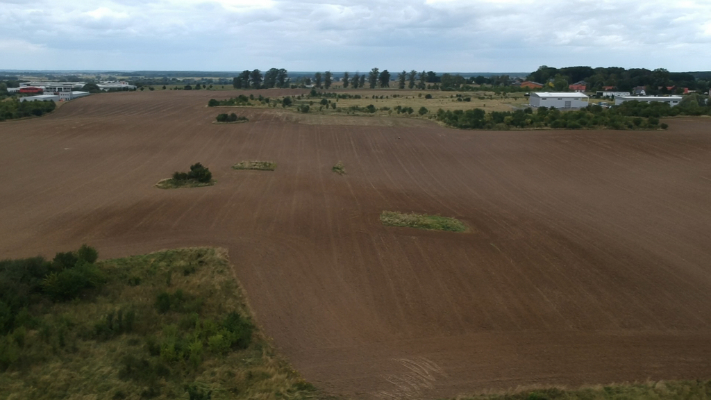Działka na sprzedaż Skarbimierzyce 17 672 m2 | Arka Nieruchomości