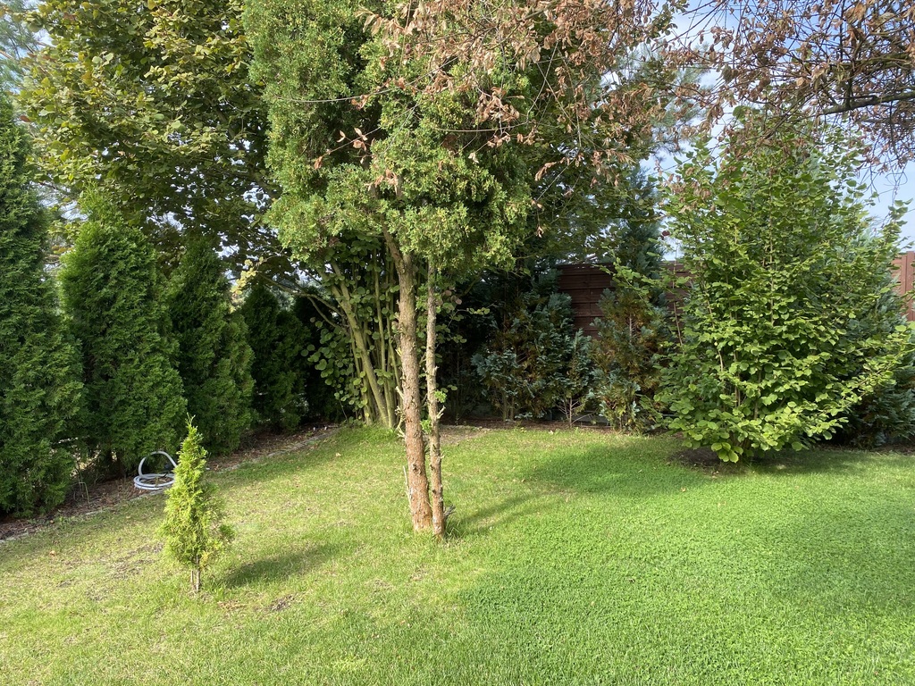 Dom na sprzedaż Rurzyca 85 m2 | Arka Nieruchomości