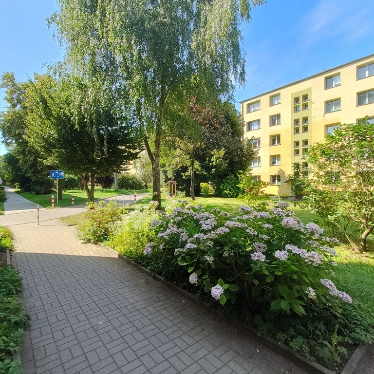 Mieszkanie na wynajem Szczecin, Pomorzany 47 m2 | Arka Nieruchomości