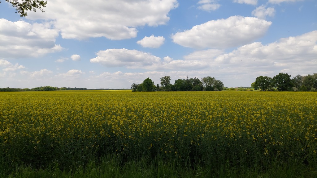 Działka na sprzedaż Mielno 11 290 m2 | Arka Nieruchomości