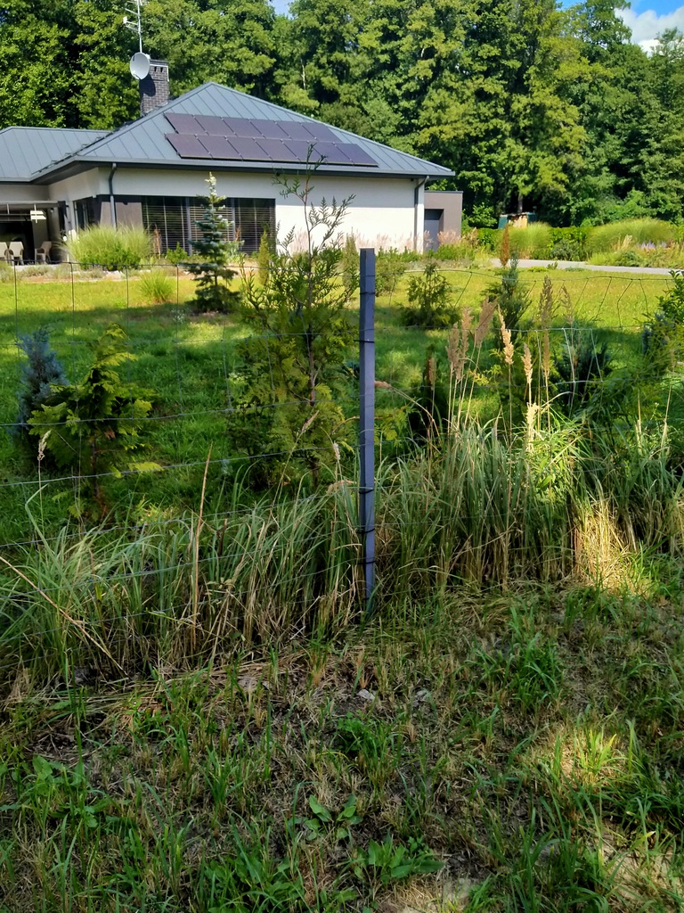 Działka na sprzedaż Grzepnica 3 179 m2 | Arka Nieruchomości