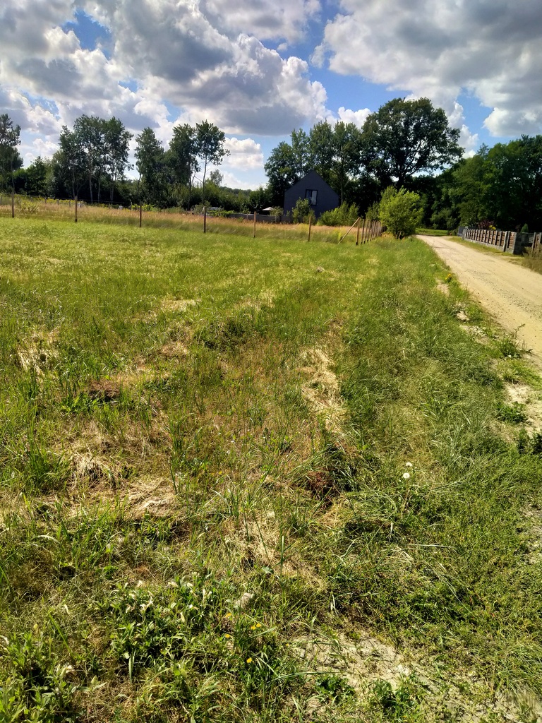 Działka na sprzedaż Grzepnica 3 179 m2 | Arka Nieruchomości