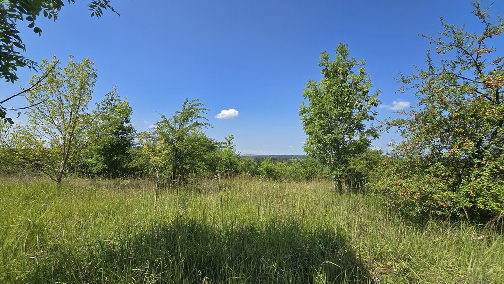 Działka na sprzedaż Radziszewo 2 616 m2 | Arka Nieruchomości
