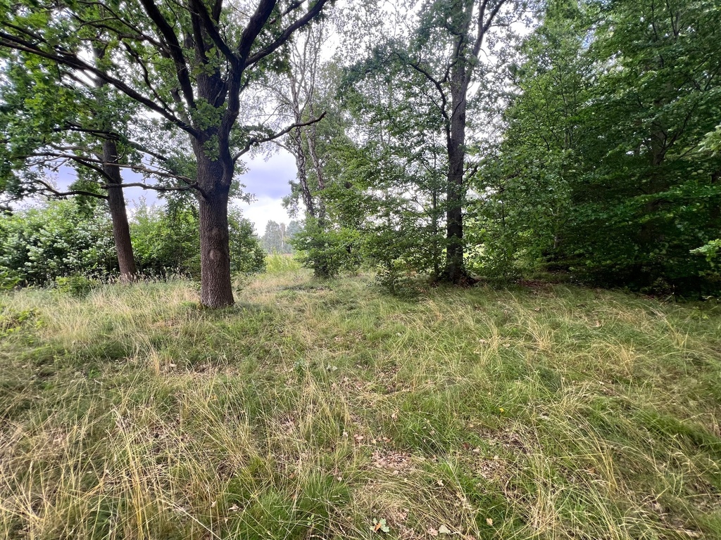 Działka na sprzedaż Storkowo 3 566 m2 | Arka Nieruchomości