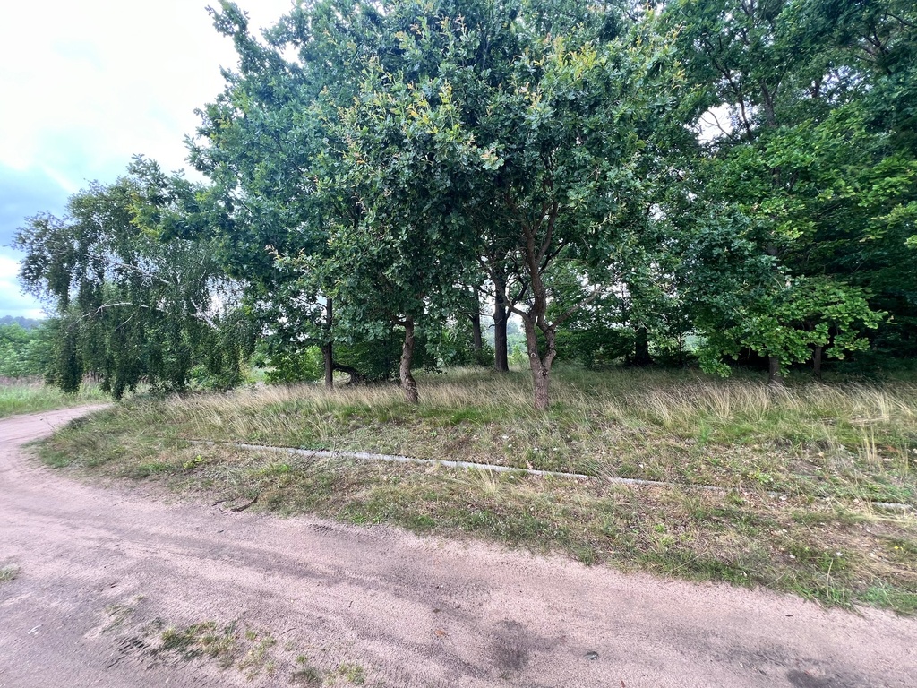 Działka na sprzedaż Storkowo 3 566 m2 | Arka Nieruchomości