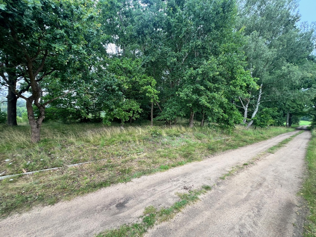 Działka na sprzedaż Storkowo 3 566 m2 | Arka Nieruchomości