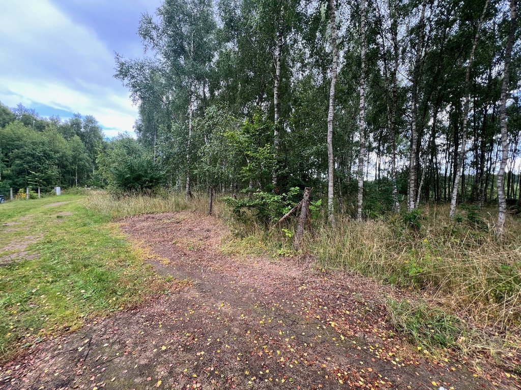 Działka na sprzedaż Storkowo 3 412 m2 | Arka Nieruchomości