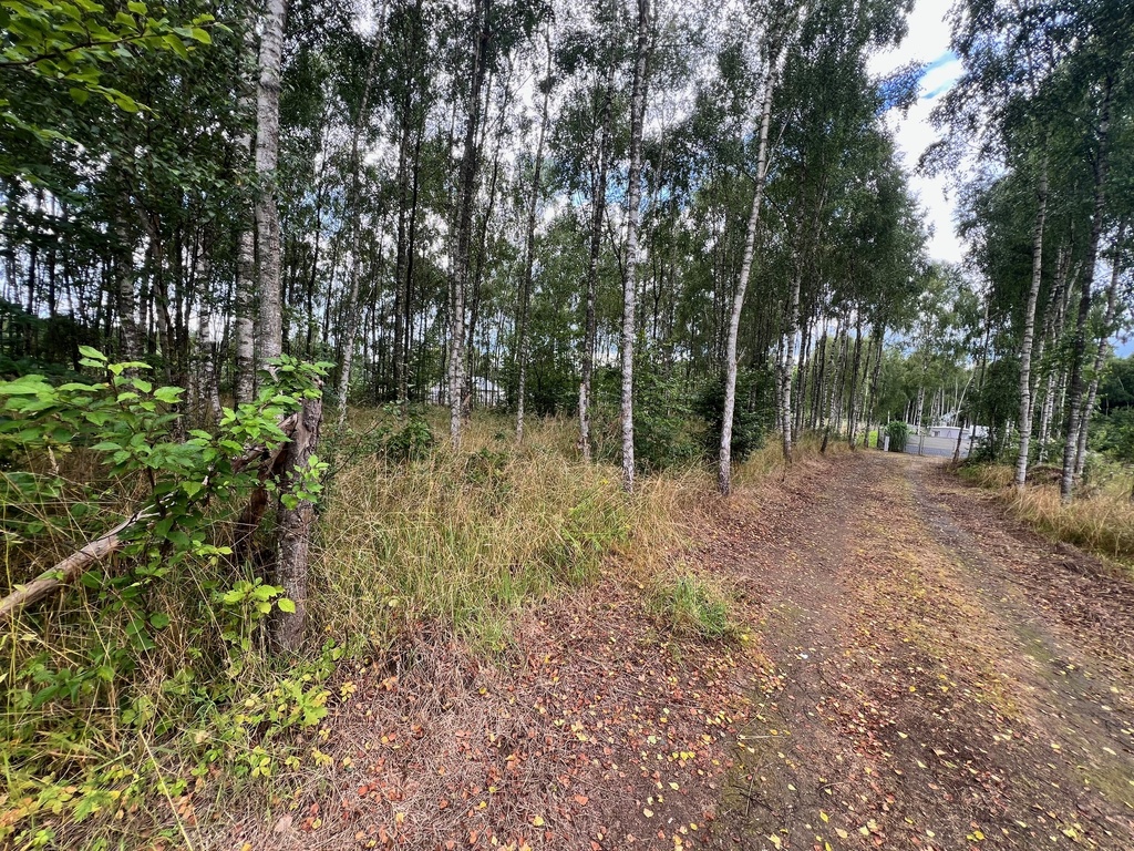Działka na sprzedaż Storkowo 3 412 m2 | Arka Nieruchomości