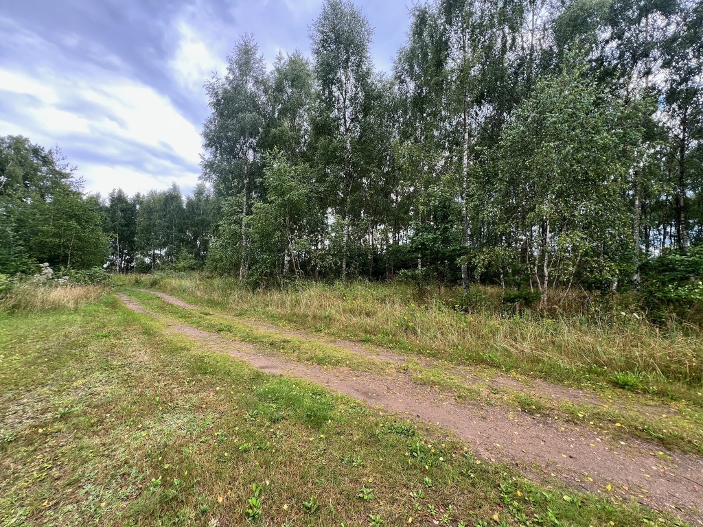 Działka na sprzedaż Storkowo 3 412 m2 | Arka Nieruchomości