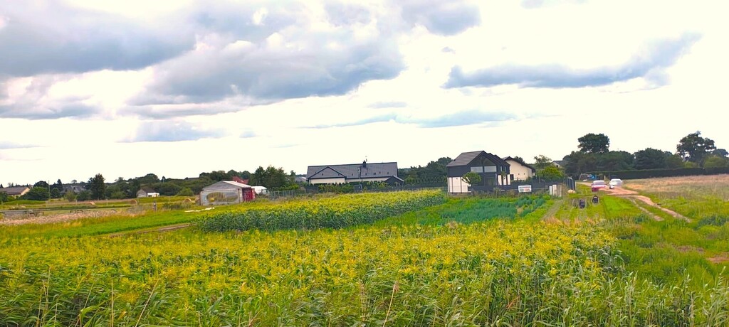 Dom na sprzedaż Lubczyna 38 m2 | Arka Nieruchomości