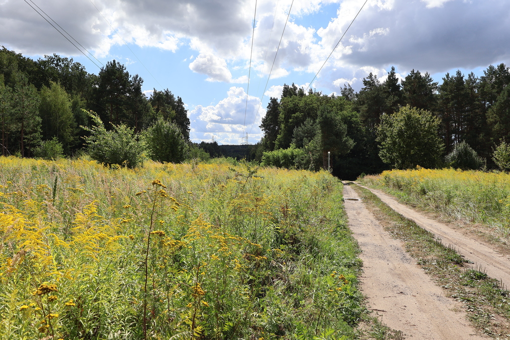 Działka na sprzedaż Szczecin, Jezierzyce 5 023 m2 | Arka Nieruchomości