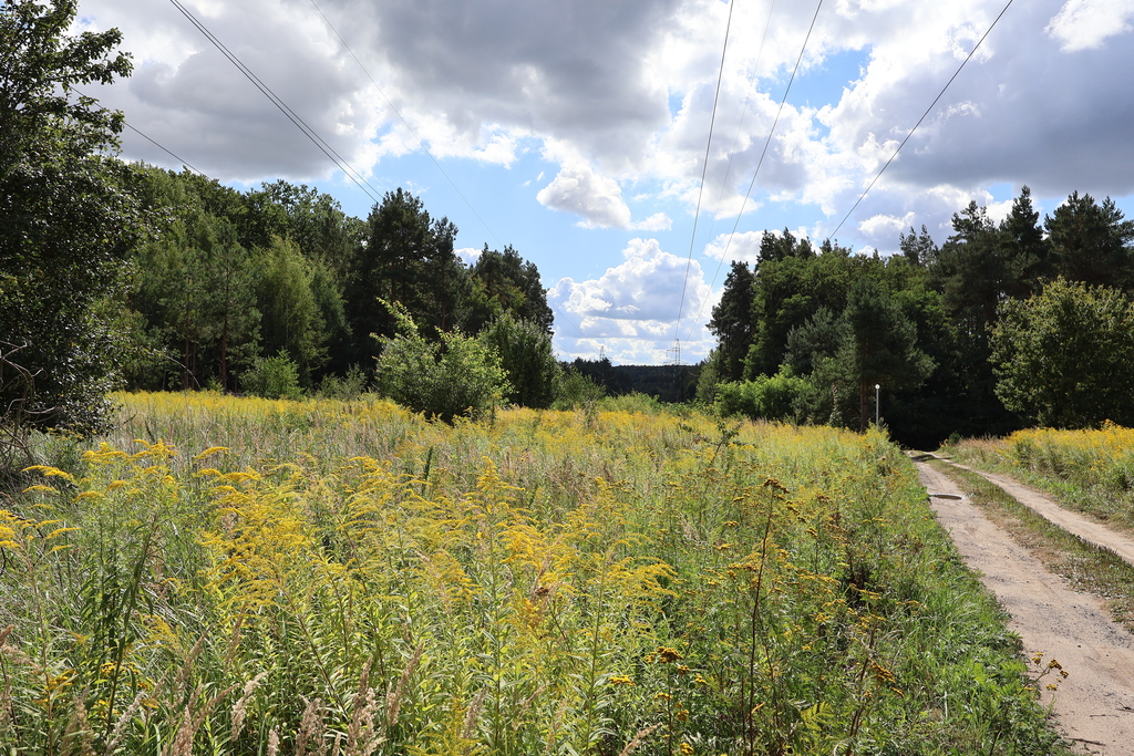 Działka na sprzedaż Szczecin, Jezierzyce 5 023 m2 | Arka Nieruchomości