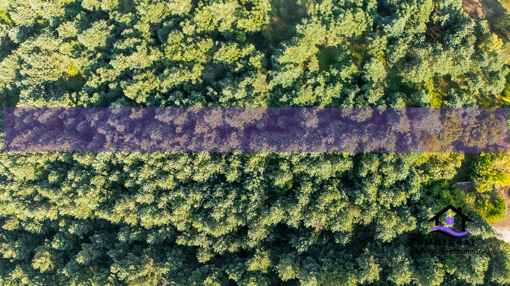 Suliszowice | Działka leśna na jurze