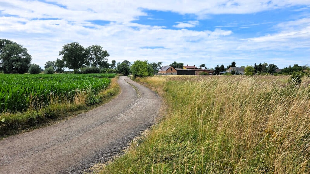 Działka na sprzedaż Rzepnowo 1 206 m2 | Arka Nieruchomości