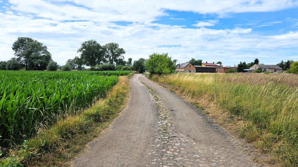 Działka na sprzedaż Rzepnowo 1 206 m2 | Arka Nieruchomości