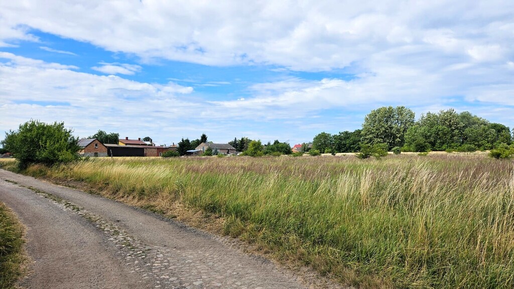 Działka na sprzedaż Rzepnowo 1 206 m2 | Arka Nieruchomości