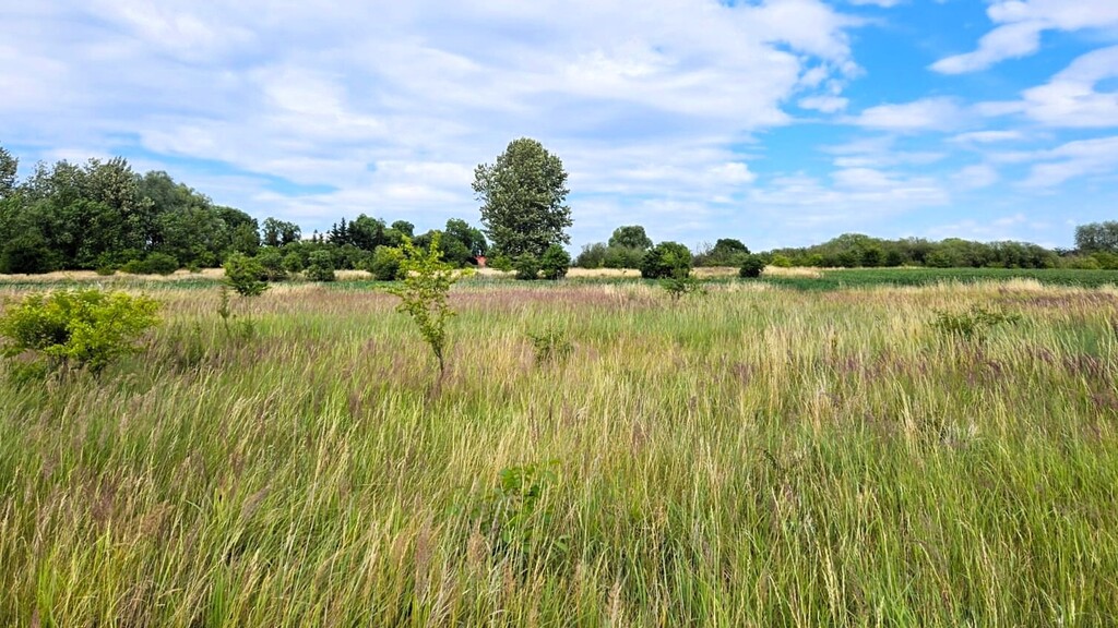 Działka na sprzedaż Rzepnowo 1 206 m2 | Arka Nieruchomości