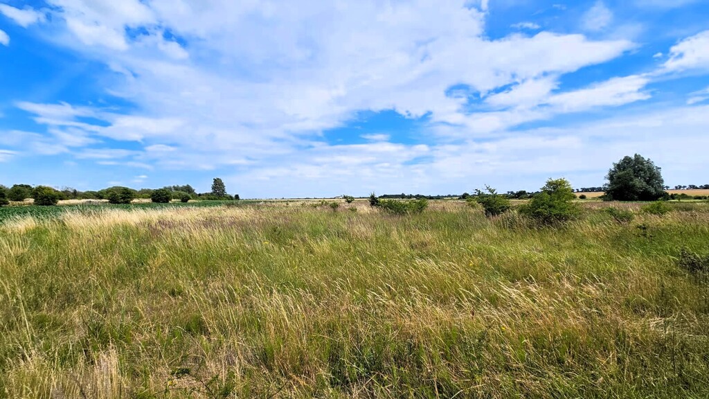 Działka na sprzedaż Rzepnowo 1 206 m2 | Arka Nieruchomości