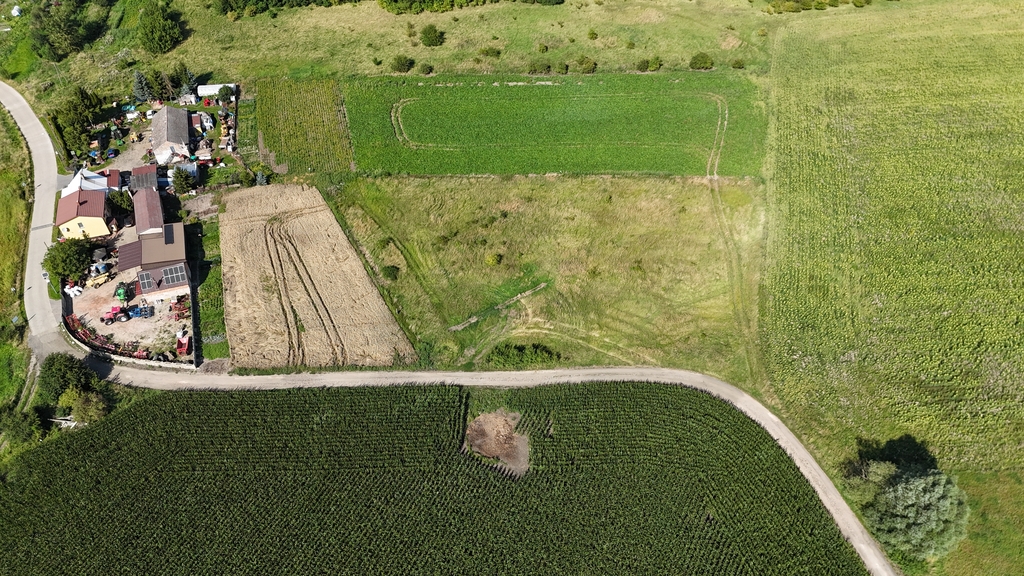 Działka na sprzedaż Rzepnowo 1 206 m2 | Arka Nieruchomości