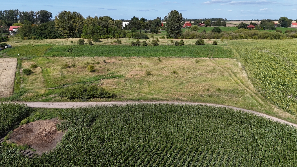 Działka na sprzedaż Rzepnowo 1 206 m2 | Arka Nieruchomości