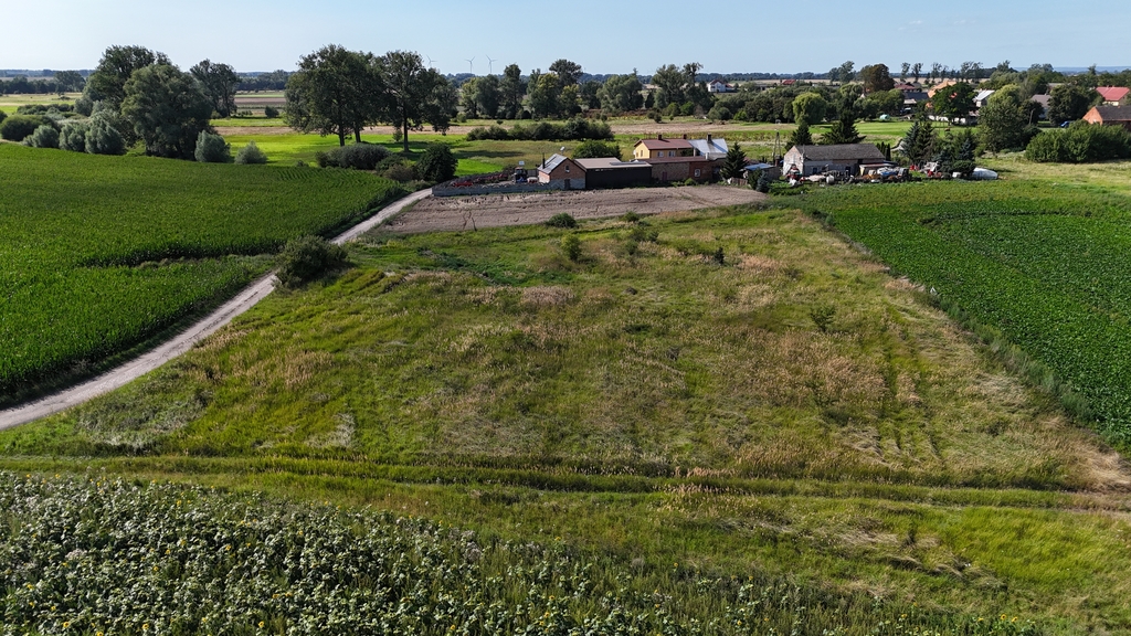Działka na sprzedaż Rzepnowo 1 206 m2 | Arka Nieruchomości