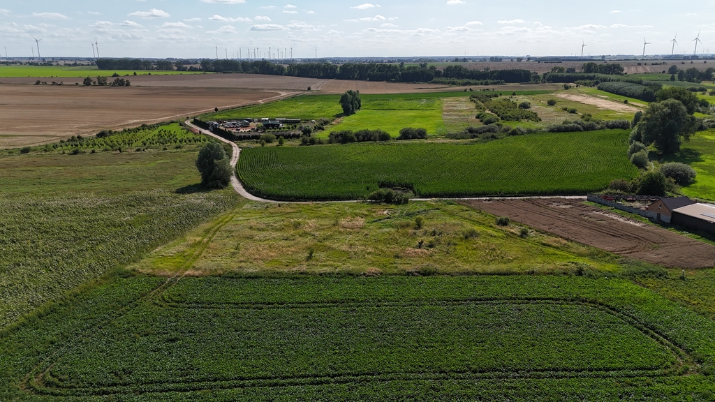 Działka na sprzedaż Rzepnowo 1 206 m2 | Arka Nieruchomości