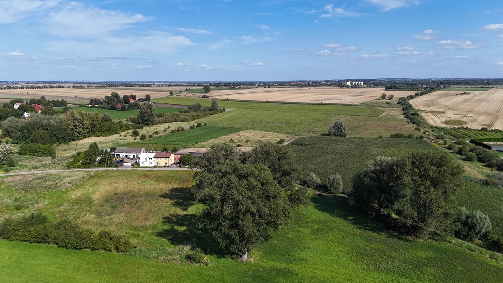 Działka na sprzedaż Rzepnowo 1 206 m2 | Arka Nieruchomości