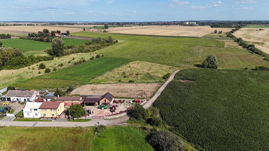 Działka na sprzedaż Rzepnowo 1 206 m2 | Arka Nieruchomości