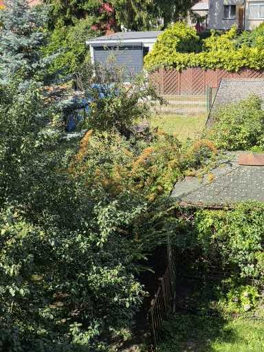 Mieszkanie na wynajem Szczecin, Pogodno 50 m2 | Arka Nieruchomości