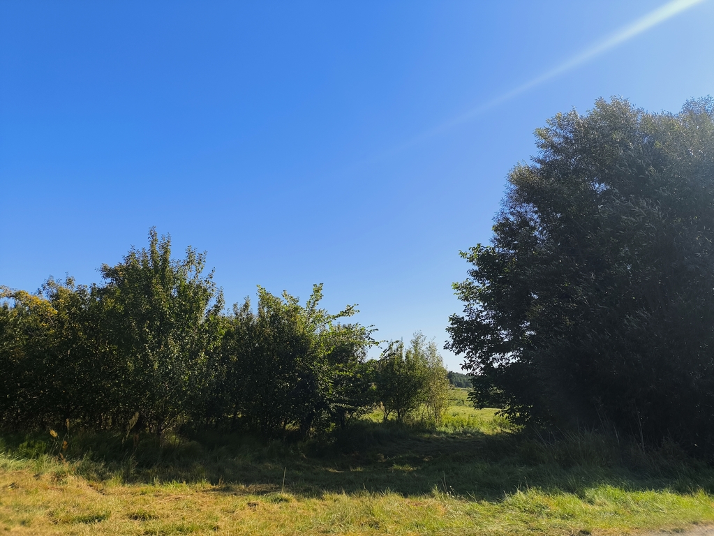 Dom na sprzedaż Sowno 160 m2 | Arka Nieruchomości