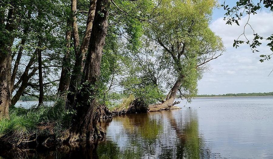 Działka na sprzedaż Żelewo 1 385 m2 | Arka Nieruchomości