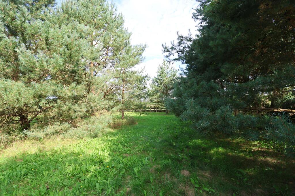 Działka na sprzedaż Dzisna 3 361 m2 | Arka Nieruchomości