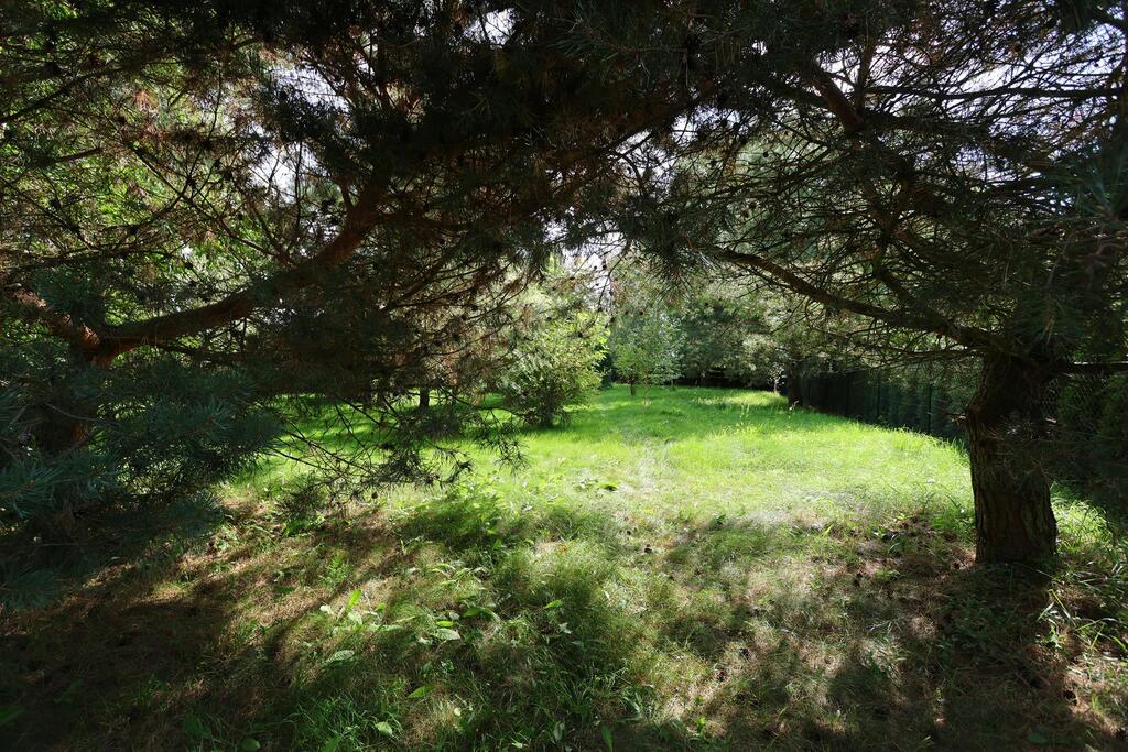 Działka na sprzedaż Dzisna 3 361 m2 | Arka Nieruchomości