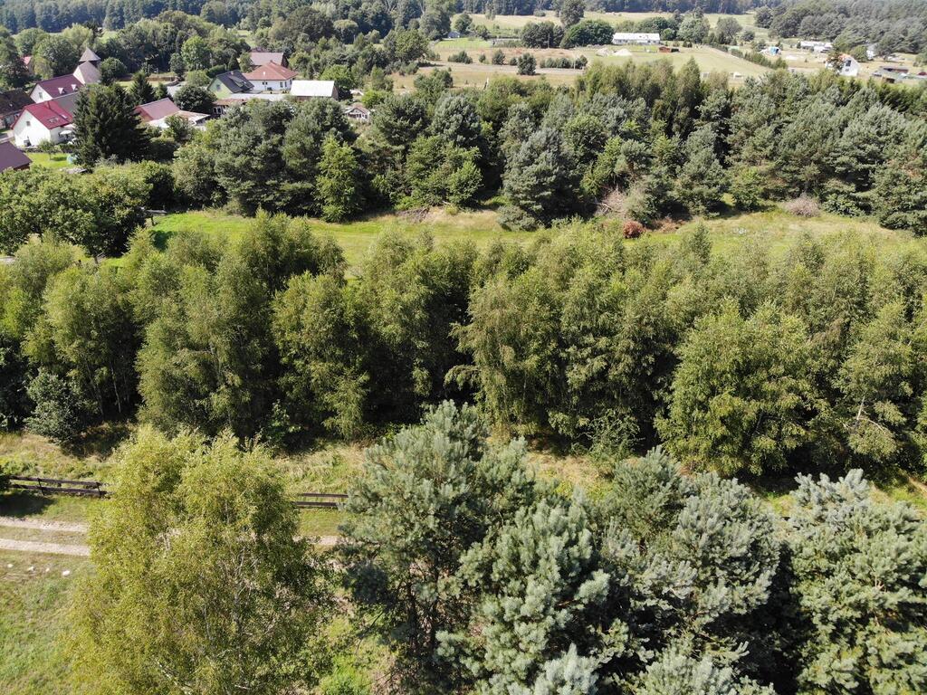 Działka na sprzedaż Dzisna 4 365 m2 | Arka Nieruchomości