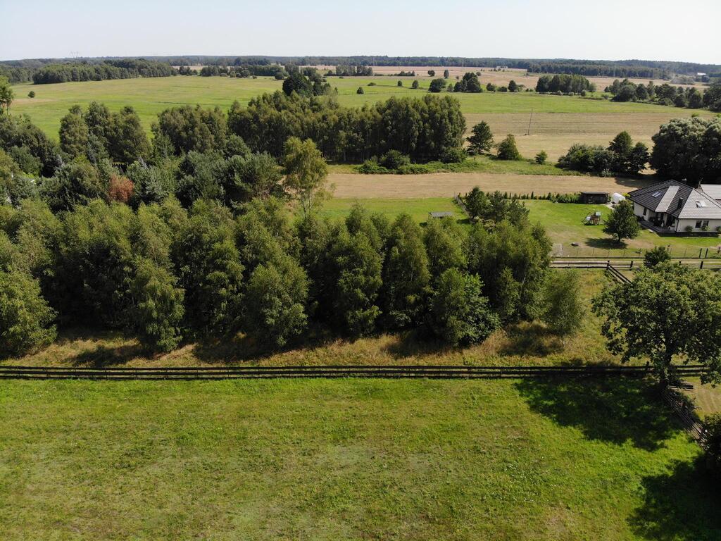 Działka na sprzedaż Dzisna 4 365 m2 | Arka Nieruchomości