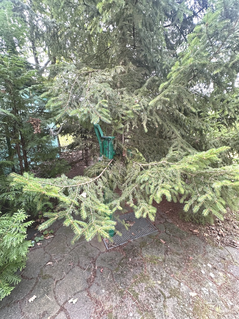 Działka na sprzedaż Trzebież 593 m2 | Arka Nieruchomości