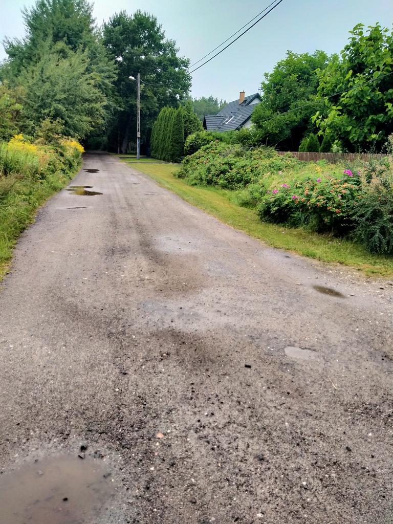 Działka na sprzedaż Niekłończyca 5 000 m2 | Arka Nieruchomości