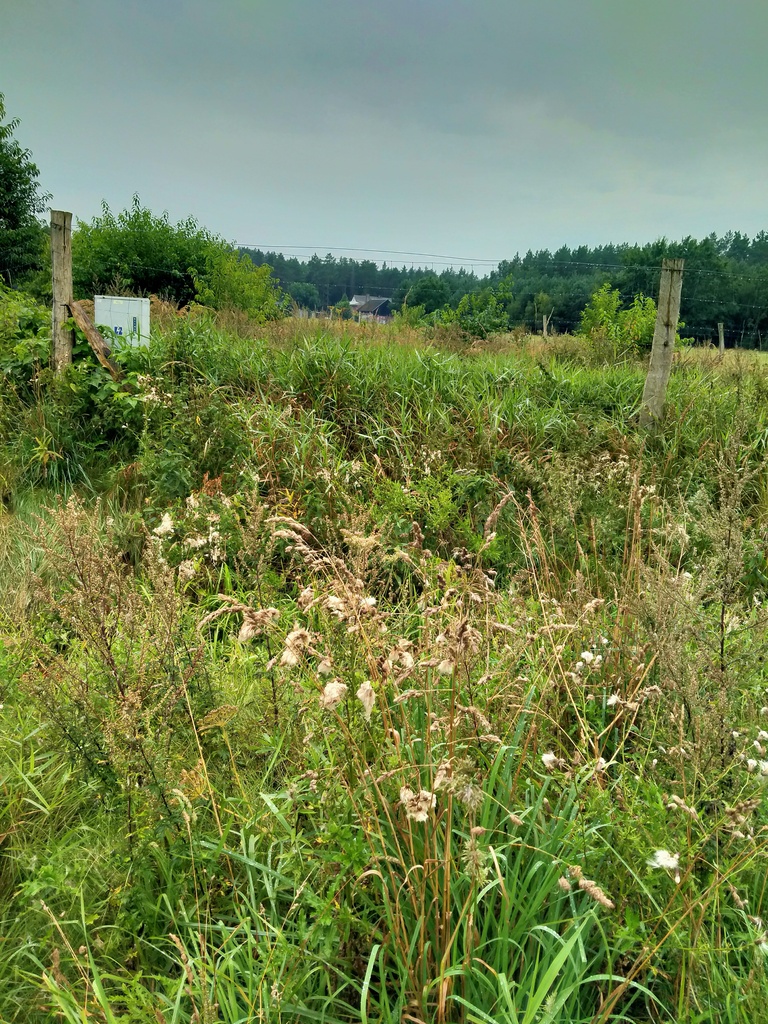 Działka na sprzedaż Niekłończyca 5 000 m2 | Arka Nieruchomości