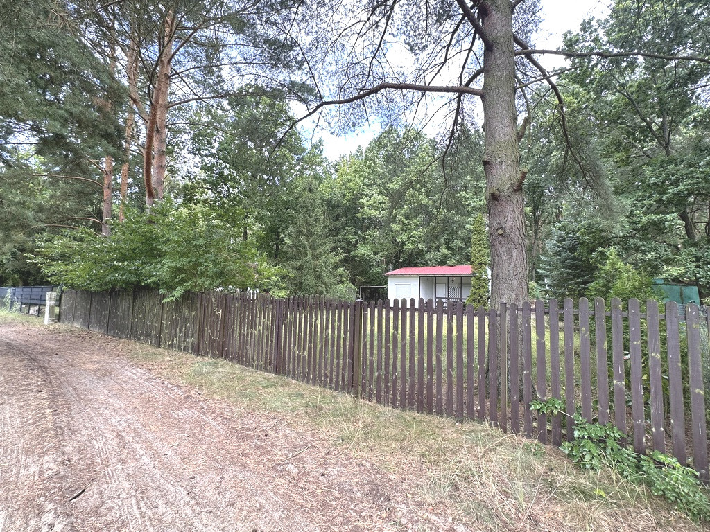 Działka na sprzedaż Trzebież 593 m2 | Arka Nieruchomości